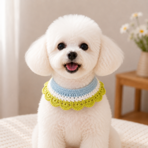 Crochet Dog Bow Tie Pattern PDF | Easy DIY Pet Bow Tie Crochet Tutorial