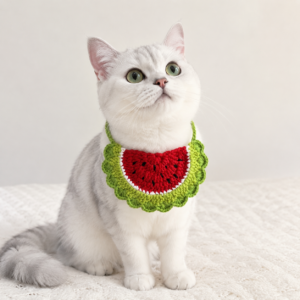 Crochet Watermelon Cat Collar – PDF Crochet Pattern (Instant Download)