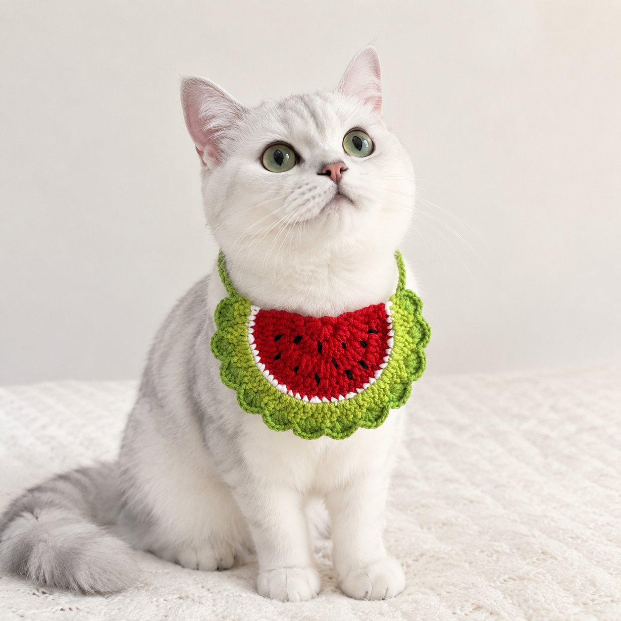 Crochet Watermelon Cat Collar โ PDF Crochet Pattern (Instant Download)