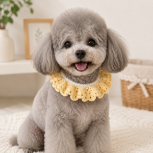 Crochet Dog Collar Pattern ruffle collar for dogs and cats