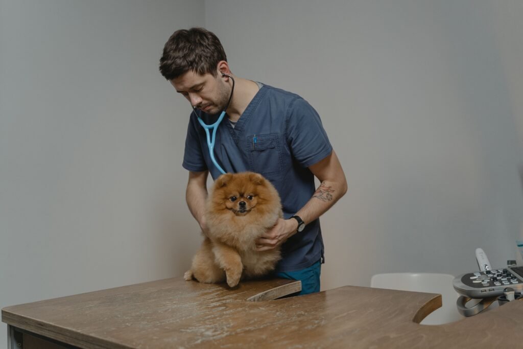Free pet health PDF before a veterinary visit with a dog health check