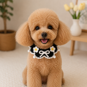 Crochet Pet Collar Pattern | Daisy Collar PDF