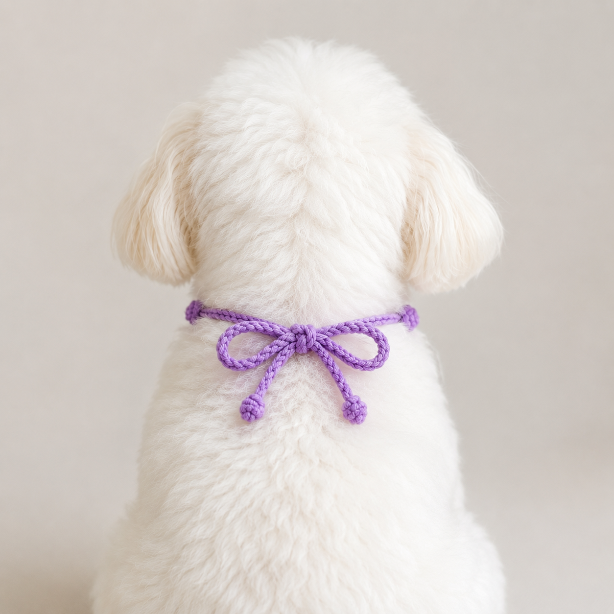 Crochet Grape Pet Bib Pattern | Easy Pet Crochet PDF - Image 2