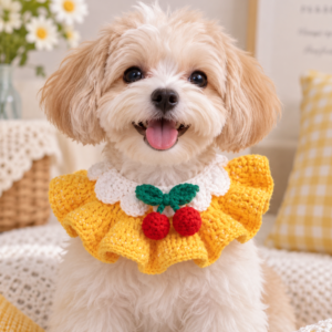 Dog Cherry Collar Crochet Pattern PDF | Pet Crochet Tutorial